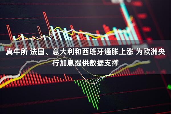 真牛所 法国、意大利和西班牙通胀上涨 为欧洲央行加息提供数据支撑