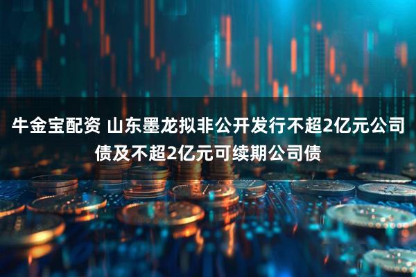 牛金宝配资 山东墨龙拟非公开发行不超2亿元公司债及不超2亿元可续期公司债