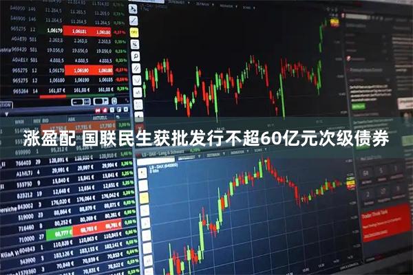 涨盈配 国联民生获批发行不超60亿元次级债券