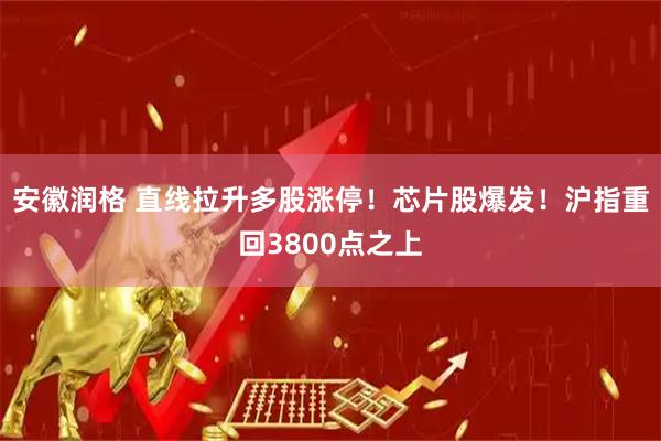 安徽润格 直线拉升多股涨停！芯片股爆发！沪指重回3800点之上