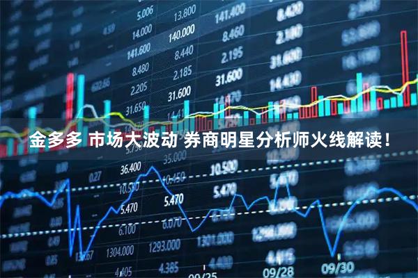 金多多 市场大波动 券商明星分析师火线解读！