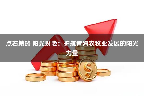 点石策略 阳光财险：护航青海农牧业发展的阳光力量